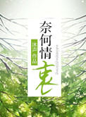 奈何情深实体书